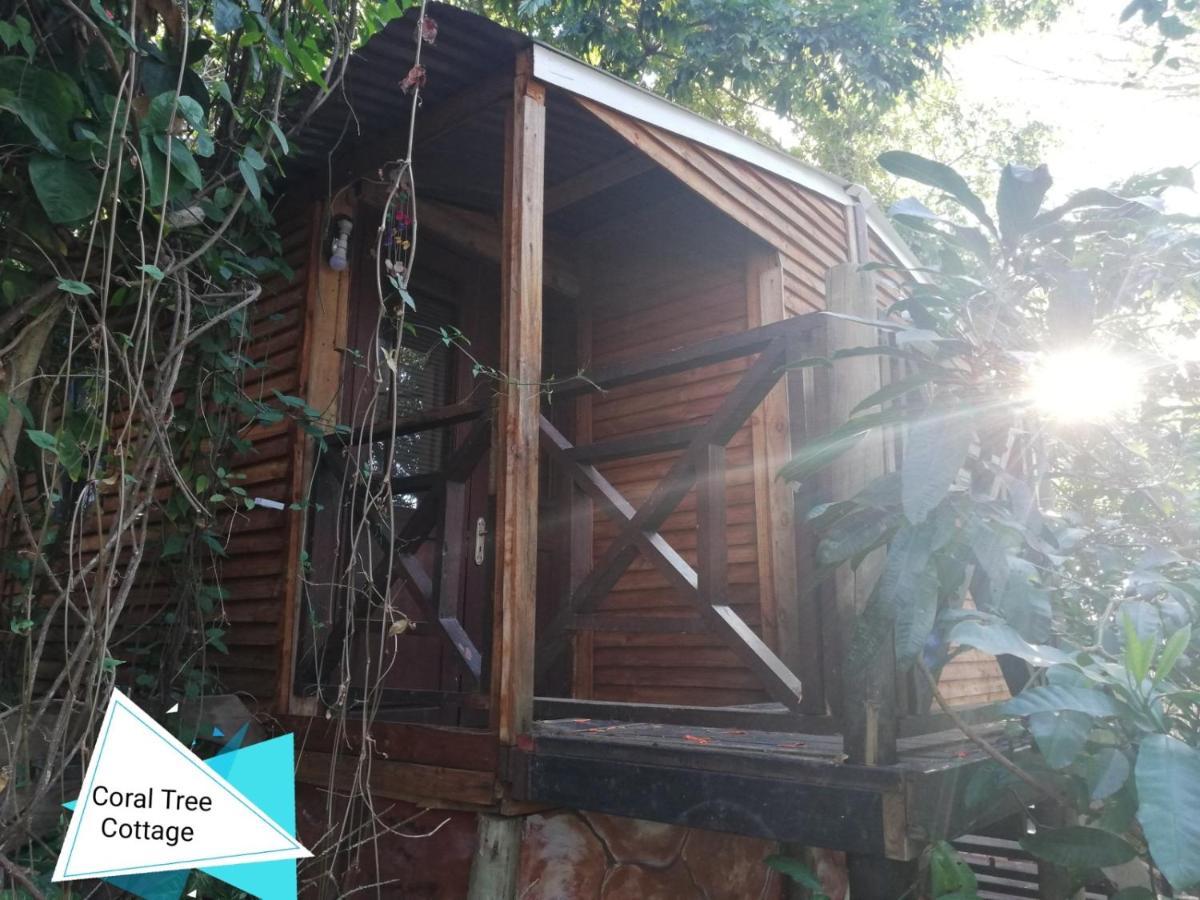 Beach Wood Cottages Shelly Beach Bagian luar foto