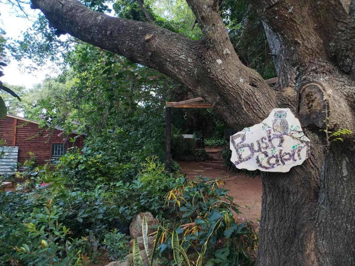 Beach Wood Cottages Shelly Beach Bagian luar foto