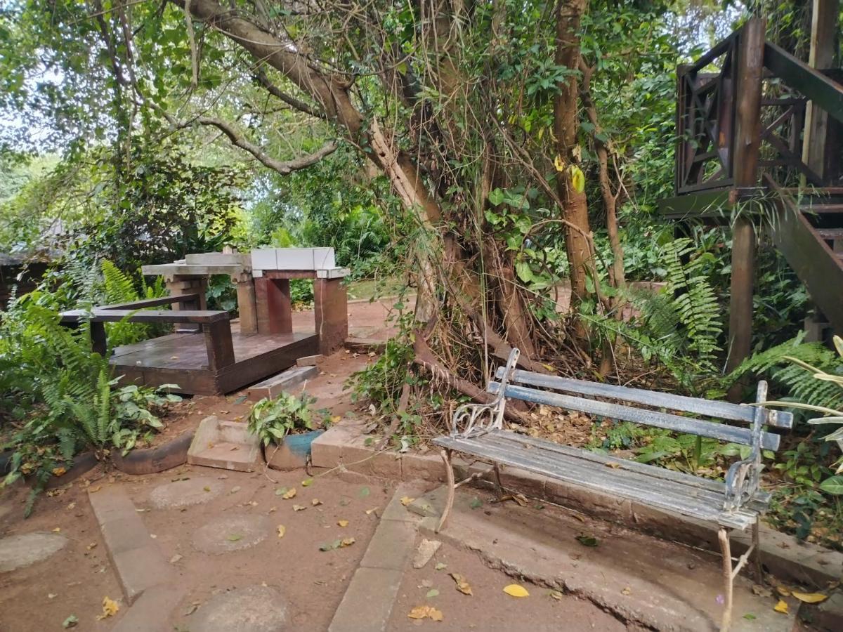 Beach Wood Cottages Shelly Beach Bagian luar foto