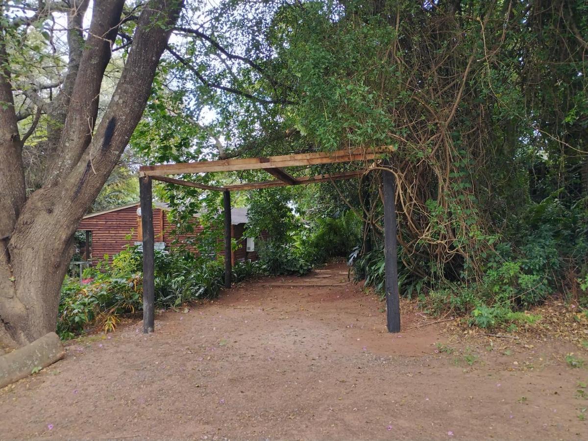 Beach Wood Cottages Shelly Beach Bagian luar foto