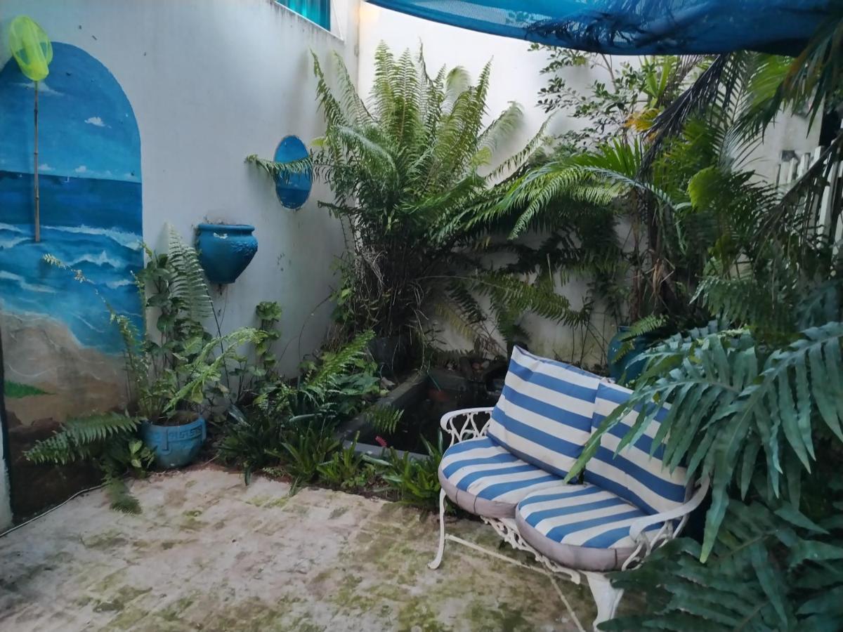 Beach Wood Cottages Shelly Beach Bagian luar foto