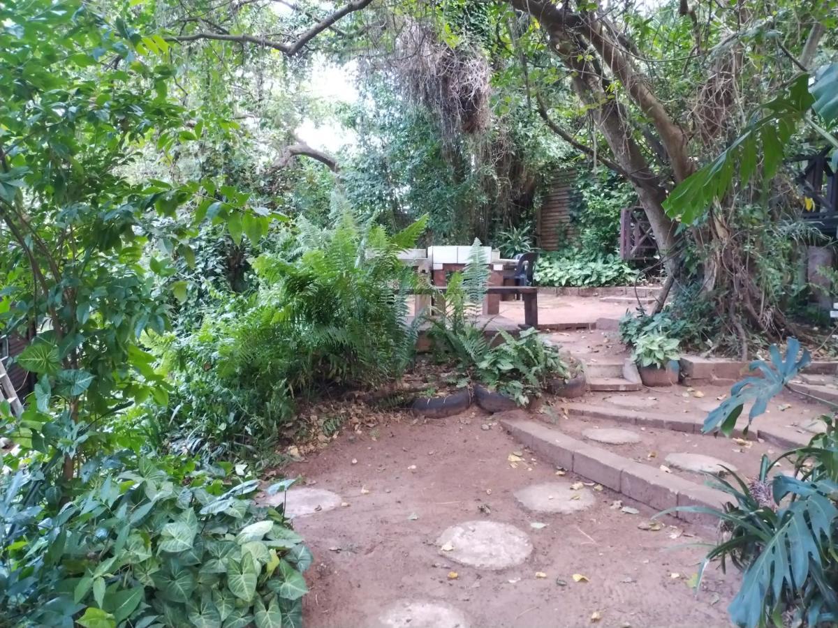 Beach Wood Cottages Shelly Beach Bagian luar foto