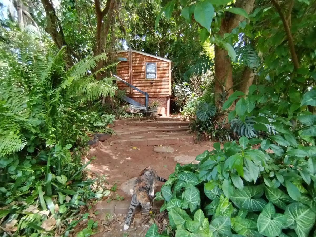 Beach Wood Cottages Shelly Beach Bagian luar foto