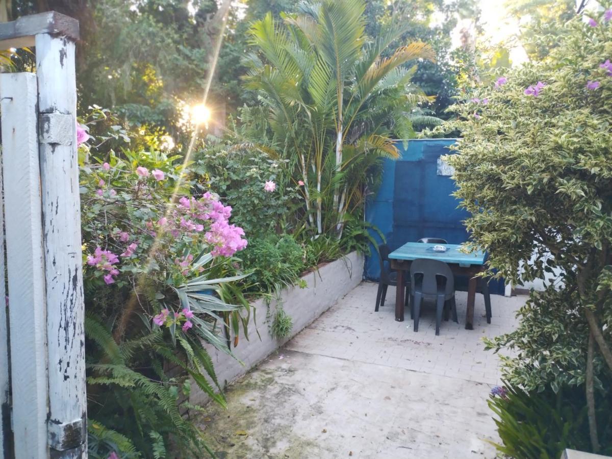 Beach Wood Cottages Shelly Beach Bagian luar foto