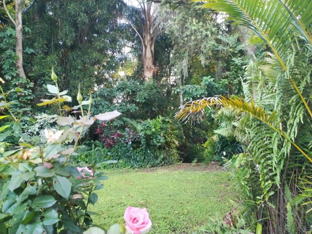 Beach Wood Cottages Shelly Beach Bagian luar foto