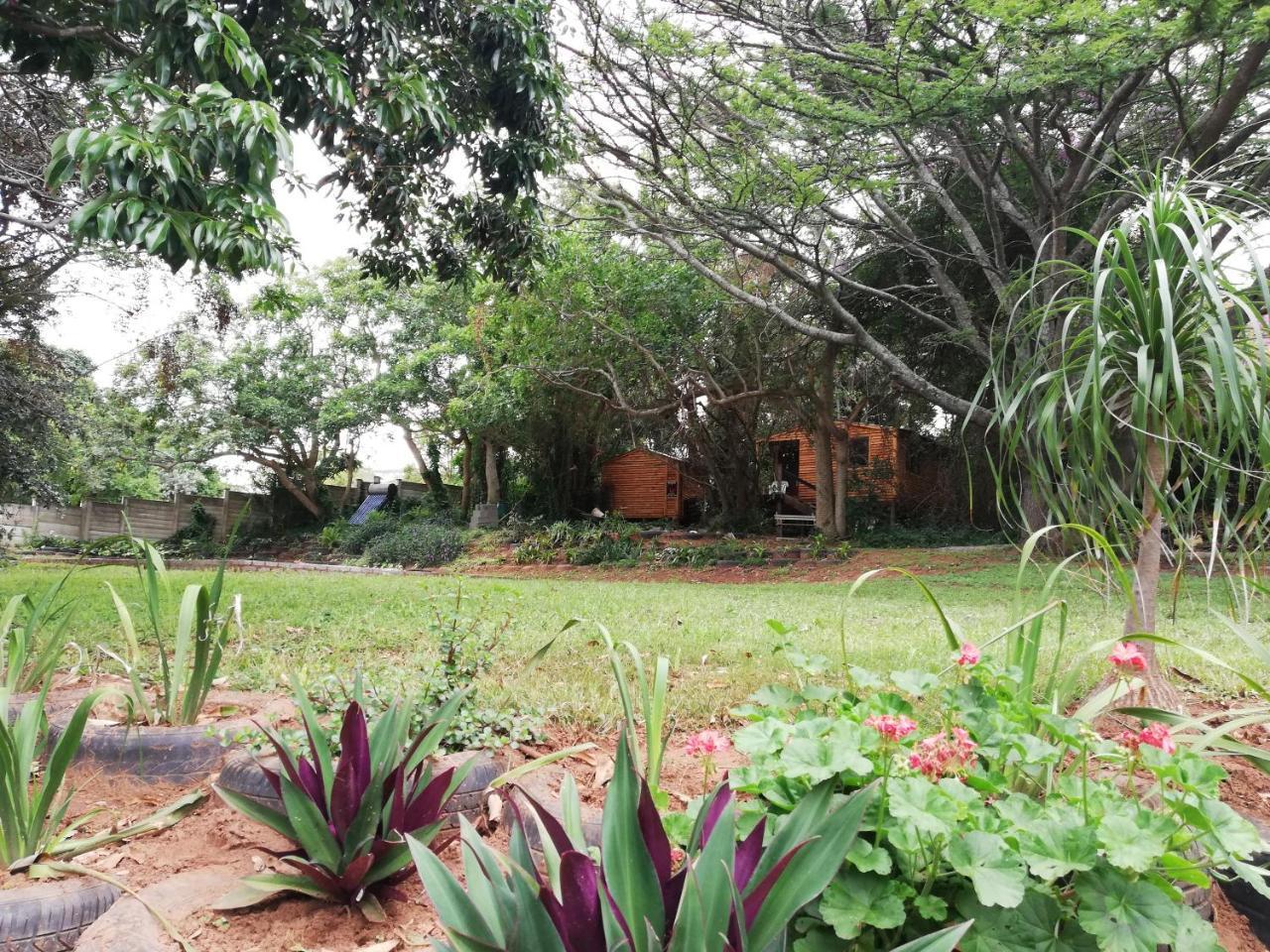 Beach Wood Cottages Shelly Beach Bagian luar foto