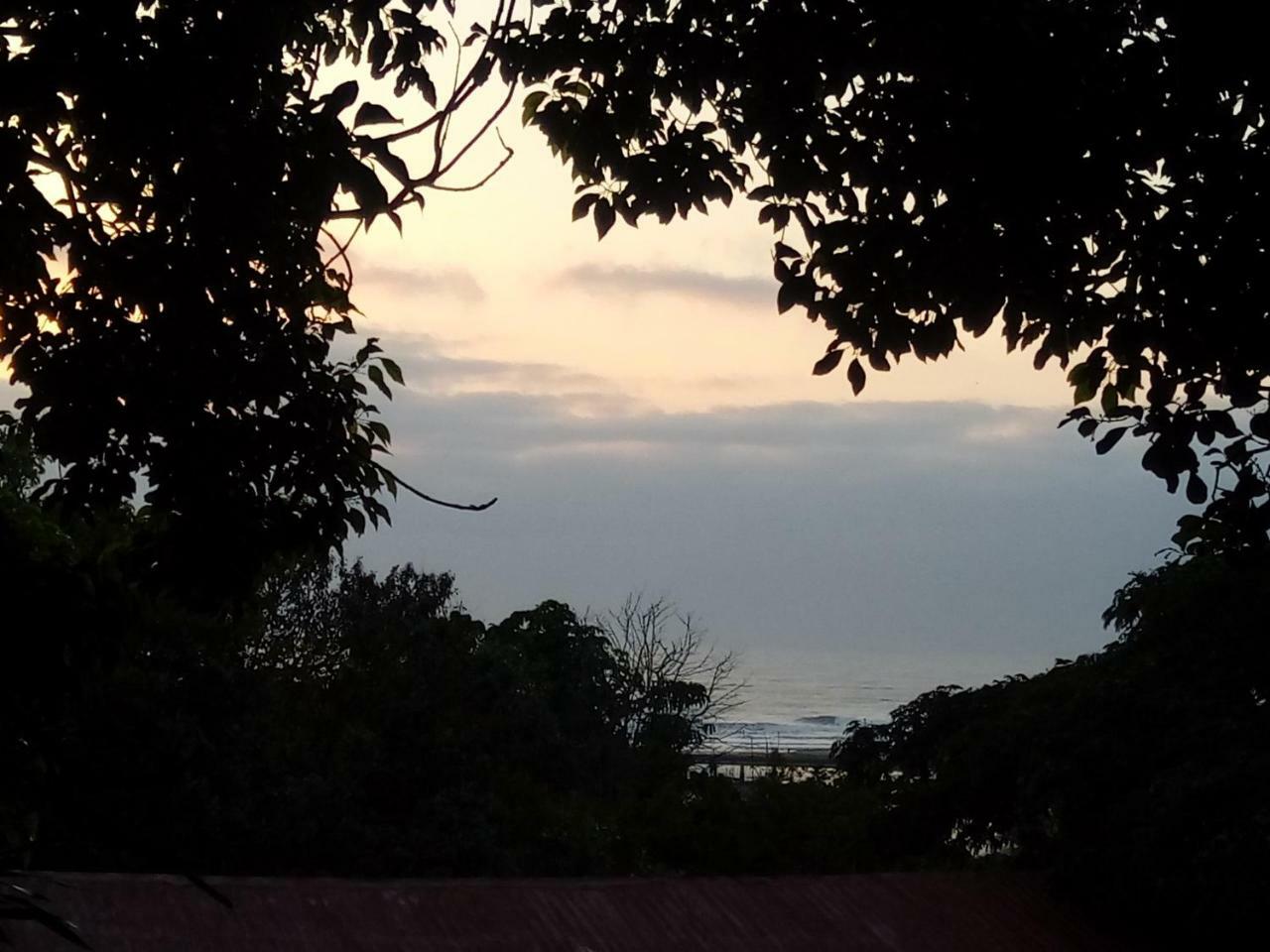 Beach Wood Cottages Shelly Beach Bagian luar foto