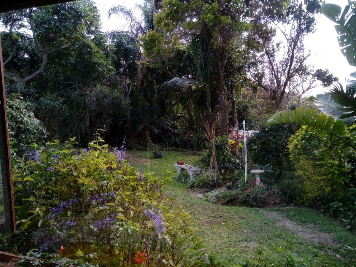 Beach Wood Cottages Shelly Beach Bagian luar foto