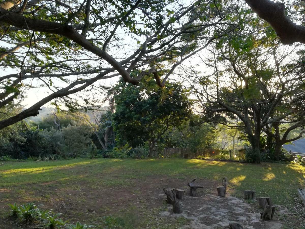 Beach Wood Cottages Shelly Beach Bagian luar foto