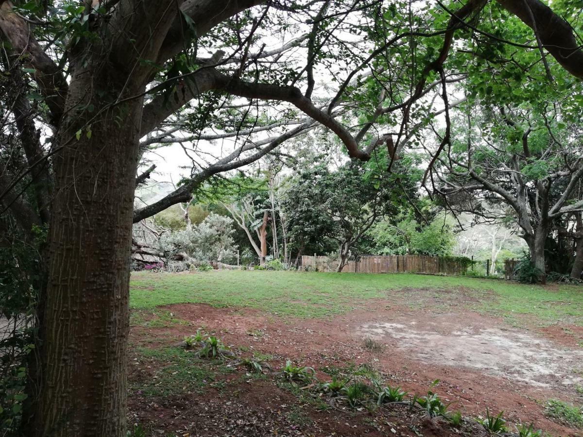 Beach Wood Cottages Shelly Beach Bagian luar foto