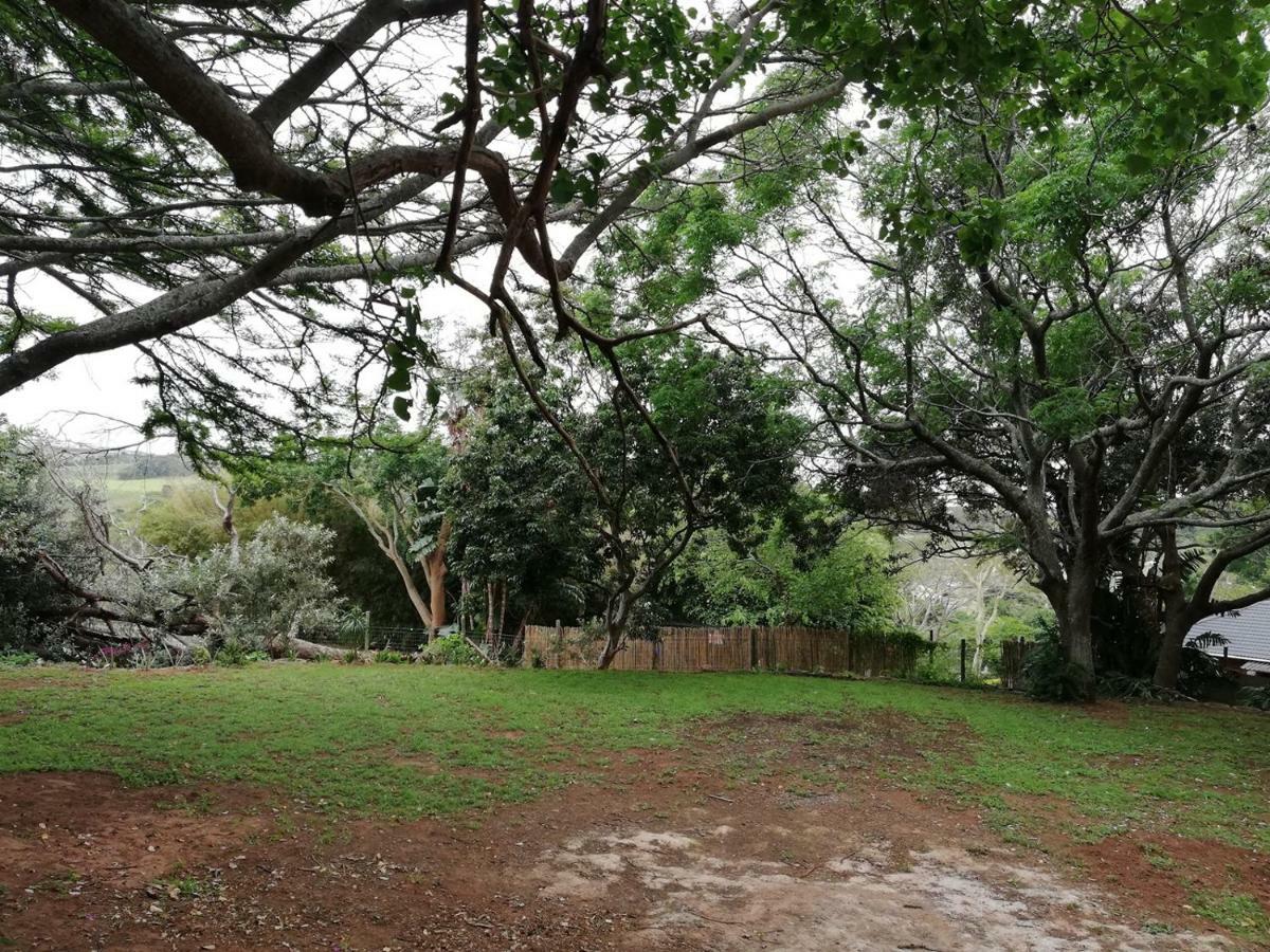 Beach Wood Cottages Shelly Beach Bagian luar foto
