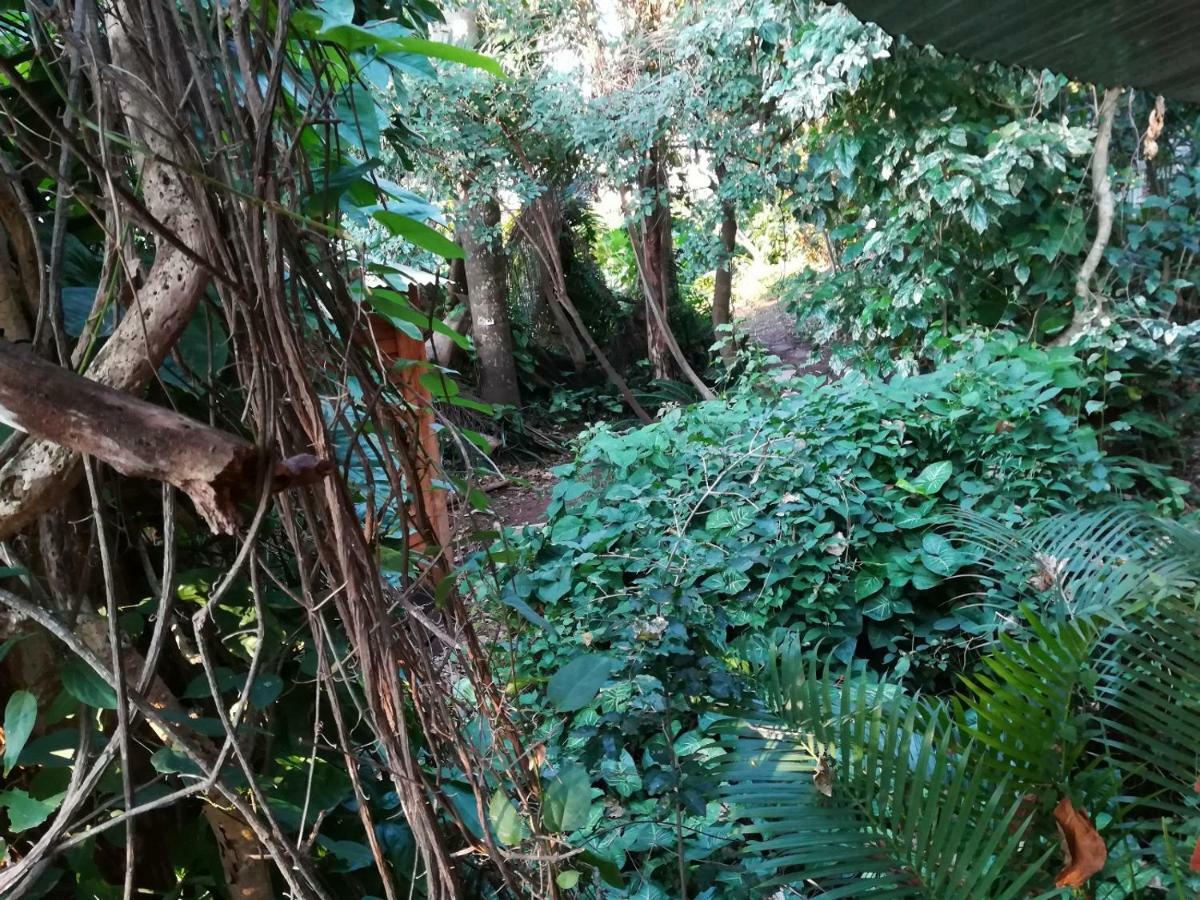 Beach Wood Cottages Shelly Beach Bagian luar foto