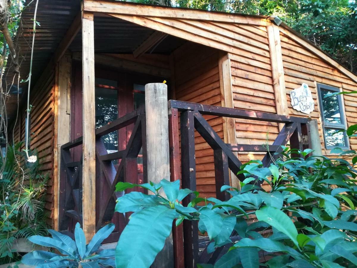 Beach Wood Cottages Shelly Beach Bagian luar foto